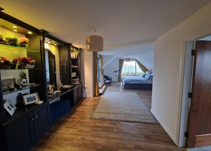 Stoneboat Furbo * ゴールウェイ