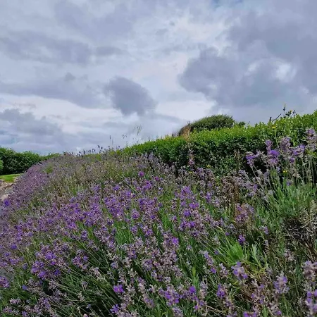 Stoneboat Furbo Hébergement de vacances