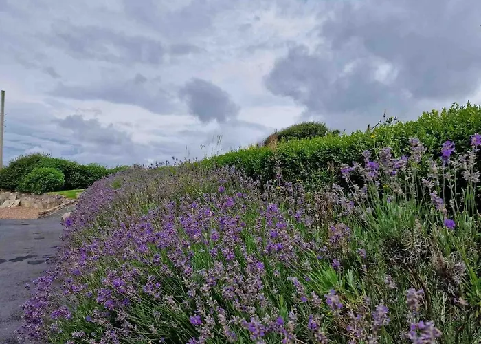 Stoneboat Furbo Prázdninový dům